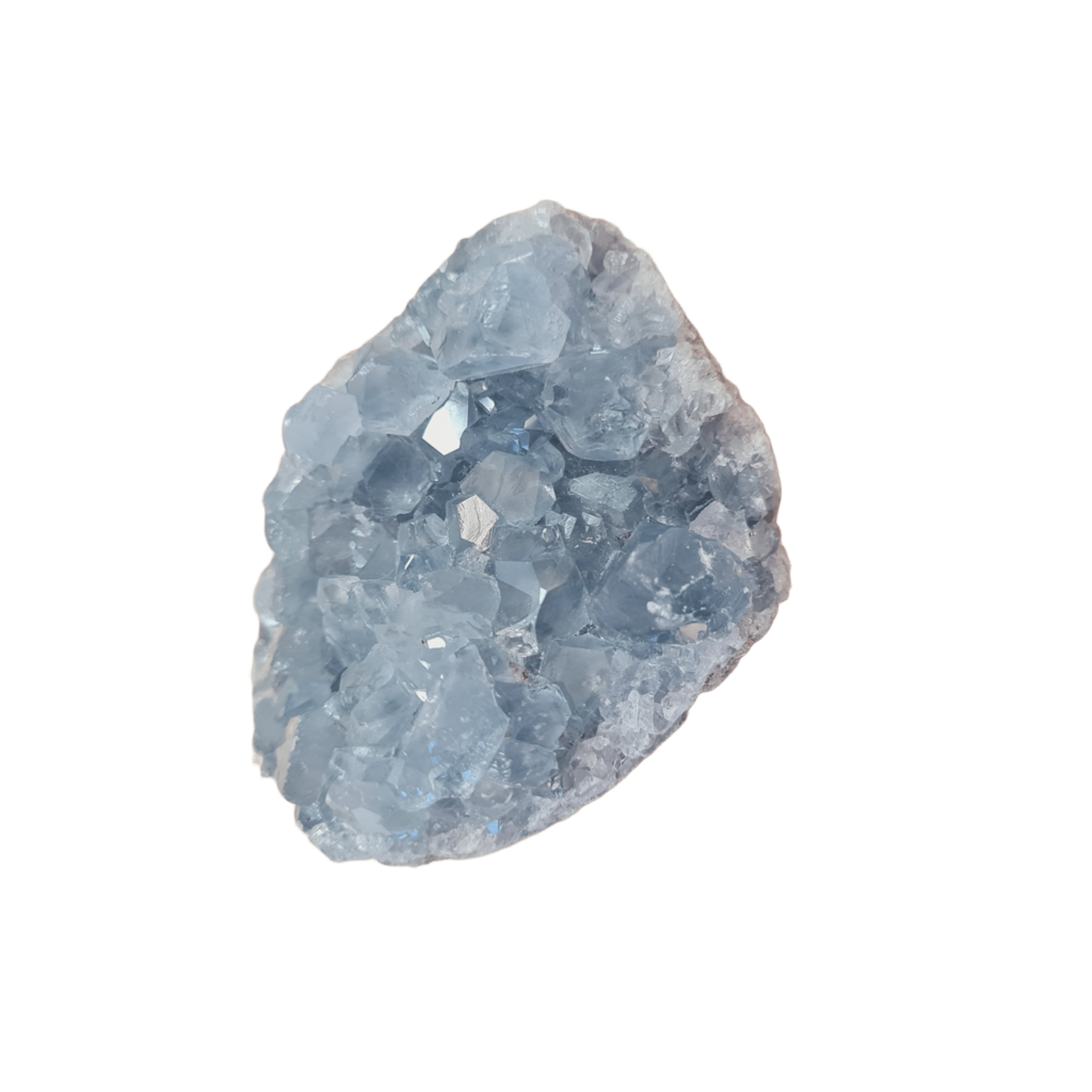 Celestýn