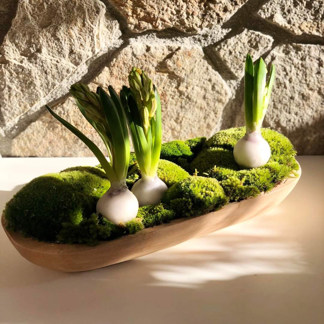 Dřevěné výrobky pro váš domov