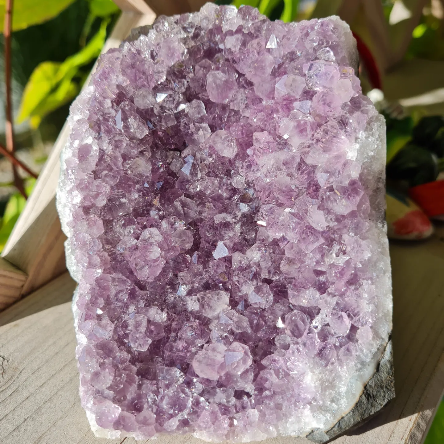 Ametystová drúza - 0,654 kg č.6 (ochrana, čištění, duchovno)