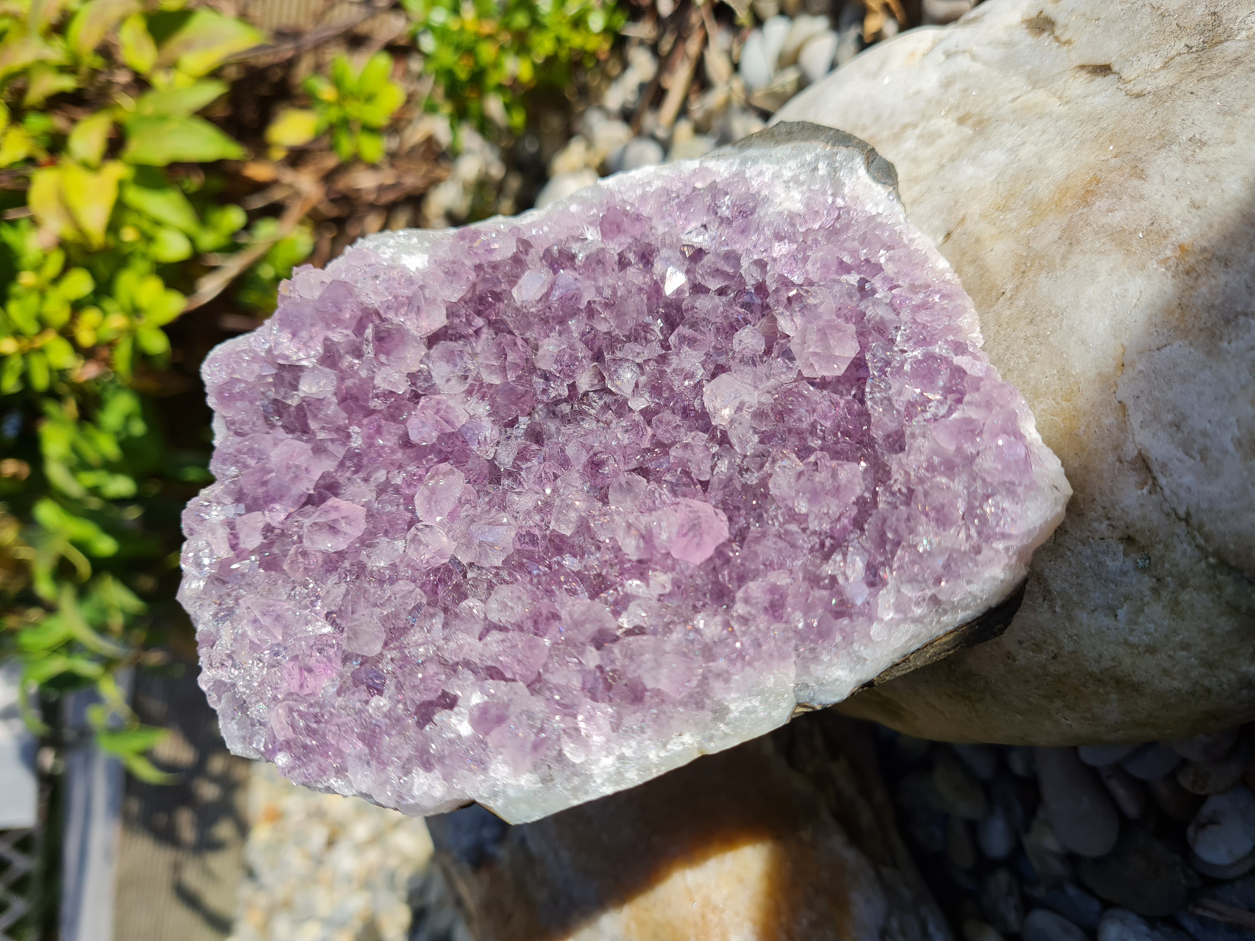 Ametystová drúza - 0,654 kg č.6 (ochrana, čištění, duchovno)