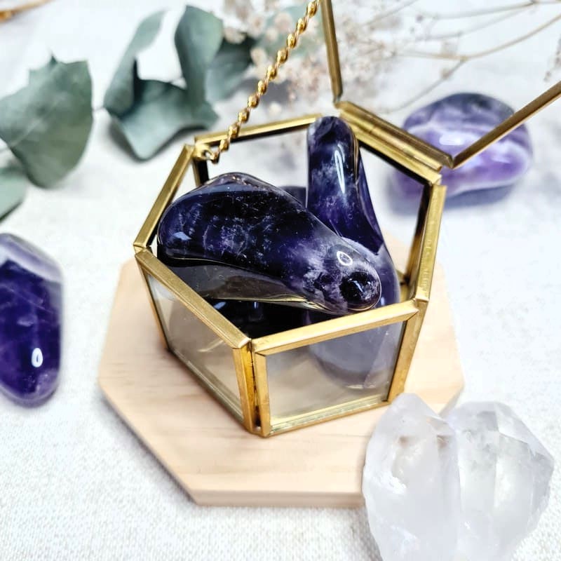 Tromlovaný Ametyst Zambie tmavý XL (ochrana, síla)