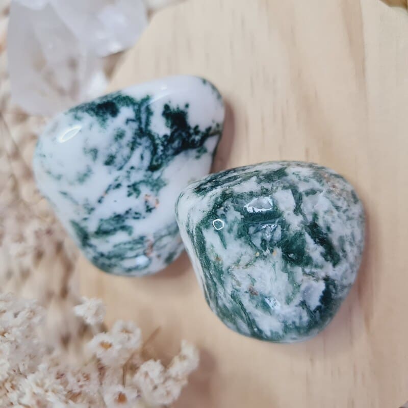 Tromlovaný Achát stromečkový M (ochrana, rovnováha, vztah k sobě samému, příroda)