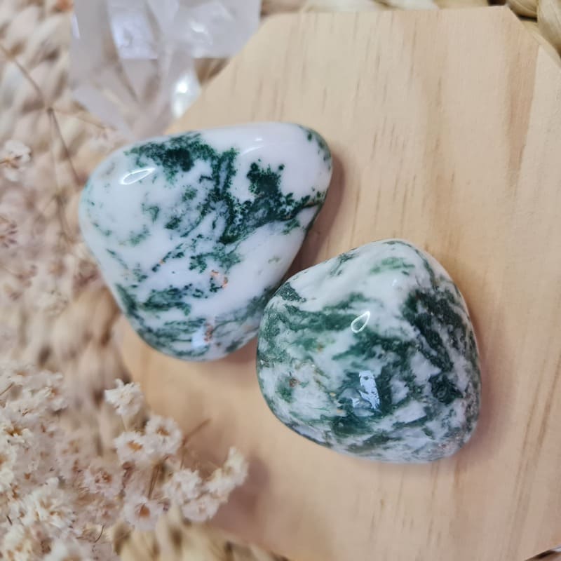 Tromlovaný Achát stromečkový M (ochrana, rovnováha, vztah k sobě samému, příroda)