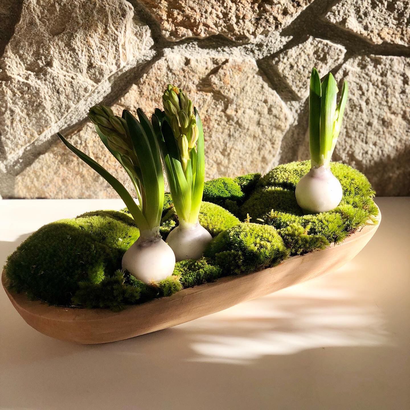 Ručně vyřezávaná masivní mísa - loď